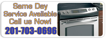 Same day oven repairs service- image